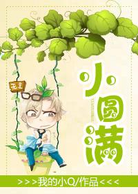 小圆满电子