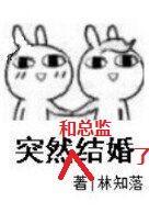 突然和总监结婚了林知落txt