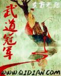 小黑武道会冠军