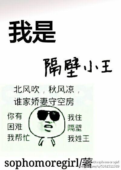 我是隔壁老王歌曲