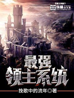 最强领主2攻略