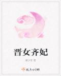 齐妃是谁