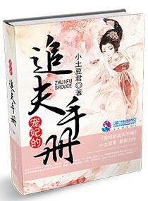 宠妃的追夫手册讲了什么