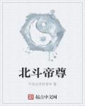 北斗帝尊李木TXT