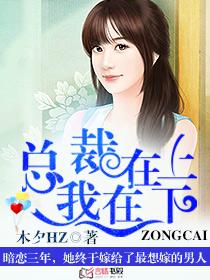 总裁在上我在下笔趣阁无弹窗
