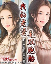 我的老婆是双胞胎视频