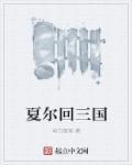 夏尔384文