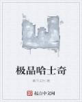 鸳鸯眼哈士奇极品
