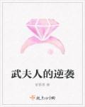 武夫人产品好用吗