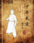 少年武宗评论