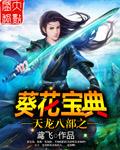 天龙八部小葵花
