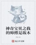 神奇宝贝之宗师