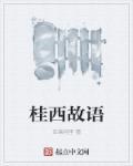 桂西在哪里