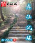 真仙武器15级怎么升级