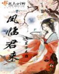 君临渊和凤舞是什么