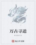 万古道体玄夜