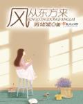 风从东方来目录