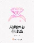 呆萌娇妻太难追沉思道