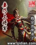 妻乃大将军