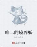 唯二的境界妖飞卢