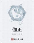 伽正确读音是什么意思