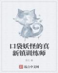 口袋妖怪真嗣队伍