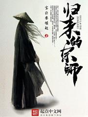 归来的宗师txt
