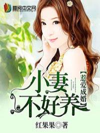 惹爱成婚染指首席总裁花榕辣书网