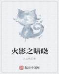 火影之暗晓TXT