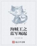 海贼王之海军元帅免费
