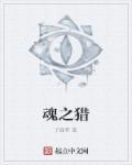 魂之猎手打一数字