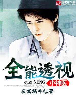 全能透视神医2