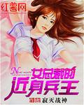 女总裁的近身兵王续集