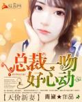 天价宠儿之总裁的新妻
