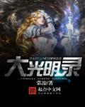 大光明录 百科