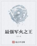 最强之军火商起点