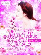 腹黑总裁高冷妻顾清幽
