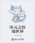 综漫之次元之心