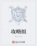 夜莺炖汤攻略组
