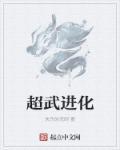 超进化最终兵器配置