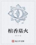 棺香墓火作者照片