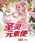 元素圣灵带什么武器