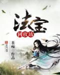 法宝可以分解吗