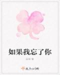 歌词如果我忘了爱你
