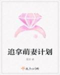 大神追妻计划txt