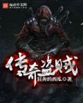 9.0盗贼传说