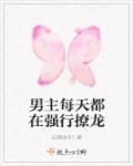 男主每天都在火葬场[穿书