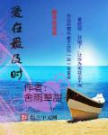 隐婚娇妻成长记全文阅读
