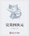 四次元菊花