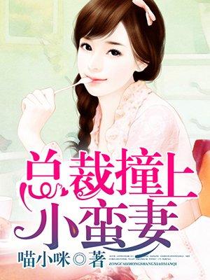 总裁撞上小蛮妻 聚合中文网